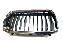 Image of GRILLE RIGHT image for your 2007 BMW 750Li   
